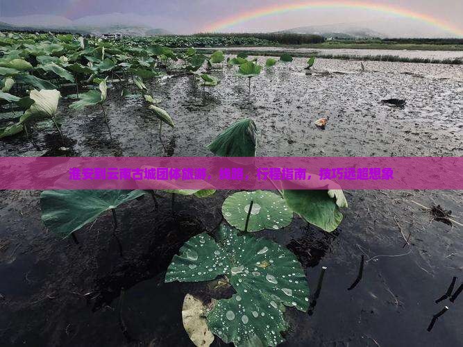 淮安到云南古城团体旅游