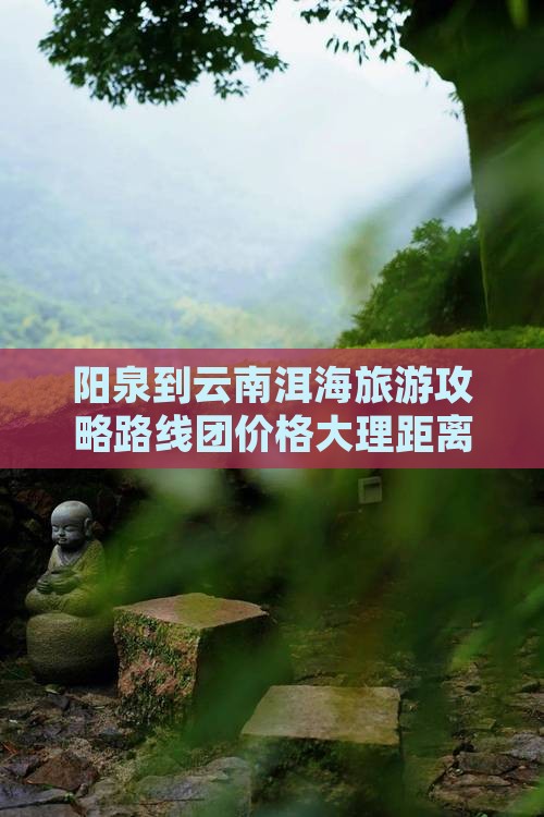 阳泉到云南洱海旅游