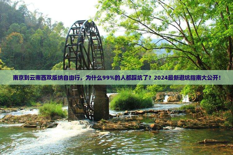 南京到云南西双版纳自由行