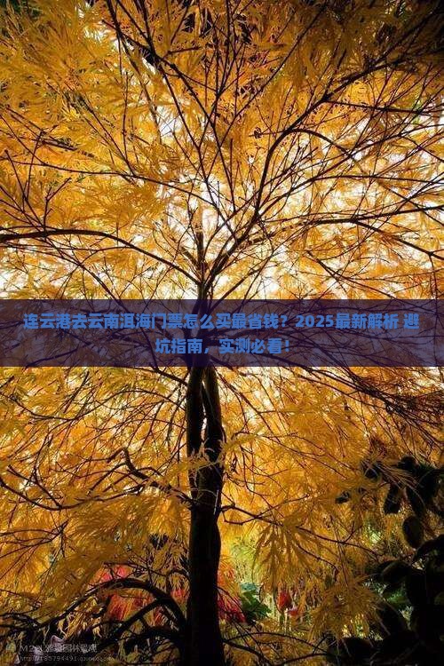 连云港去云南洱海门票