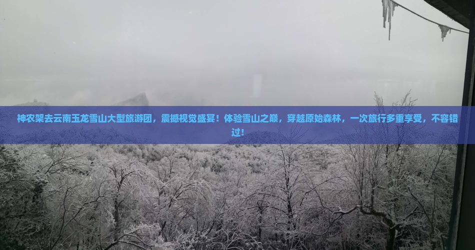 神农架去云南玉龙雪山大型旅游团