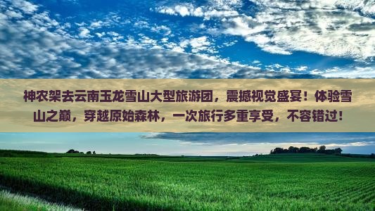 神农架去云南玉龙雪山大型旅游团