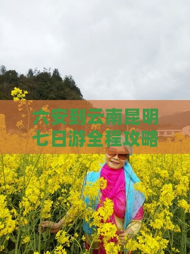 六安到云南昆明七日游