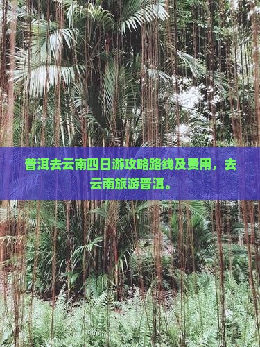 普洱去云南四日游