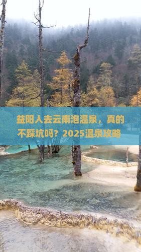 益阳去云南温泉旅行社