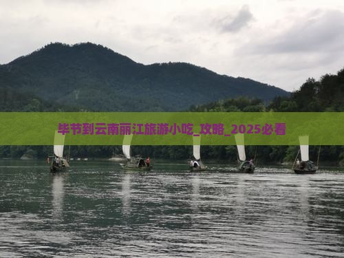 毕节到云南丽江旅游小吃