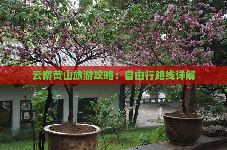 黄山去云南自由行