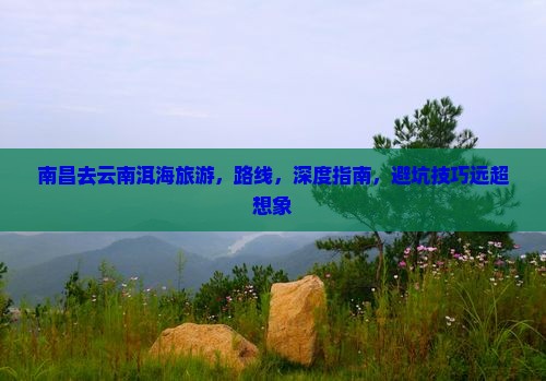 南昌去云南洱海旅游