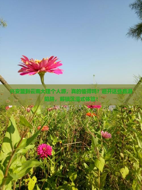 兴安盟到云南大理个人游