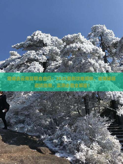 塔城去云南昆明自由行