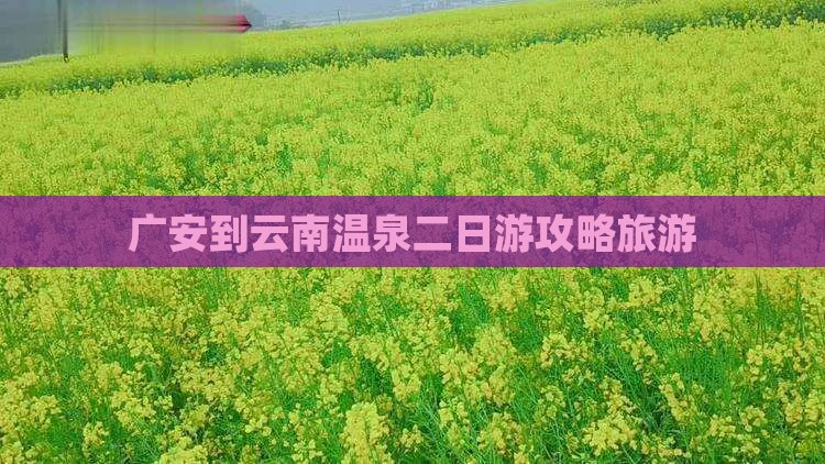 广安到云南温泉二日游