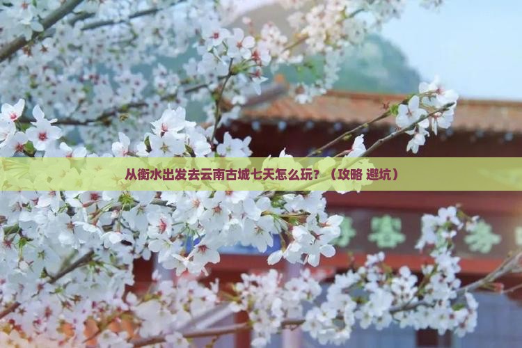 衡水到云南古城七日游