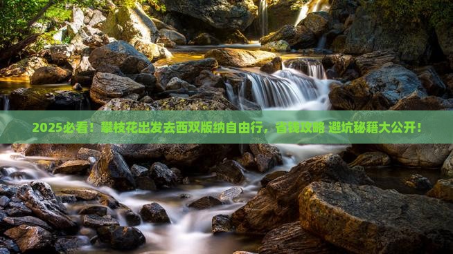 攀枝花去云南西双版纳自由行 攀枝花去云南西双版纳自由行