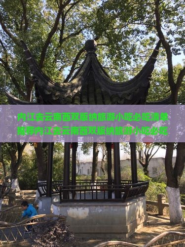 内江去云南西双版纳旅游小吃