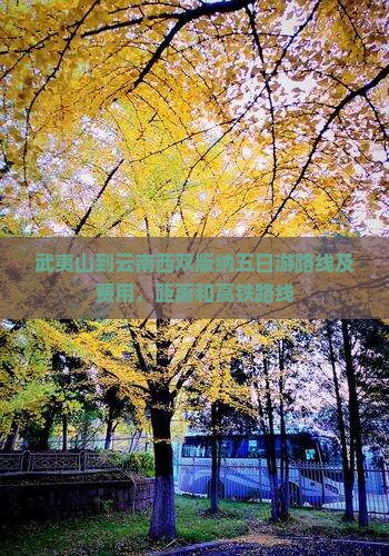 武夷山到云南西双版纳五日游