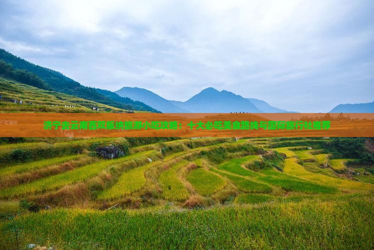 济宁去云南西双版纳旅游小吃