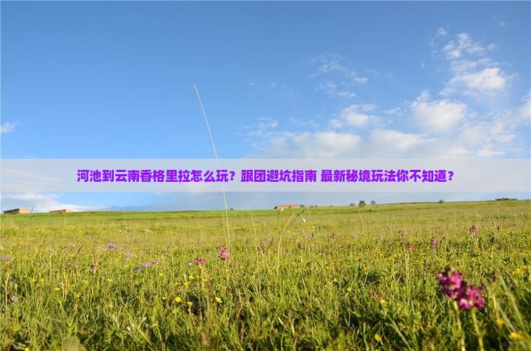 河池到云南香格里拉团体旅游