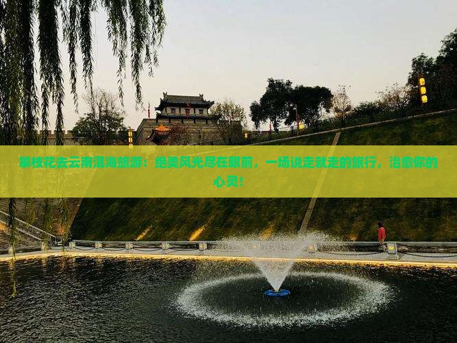 攀枝花去云南洱海旅游