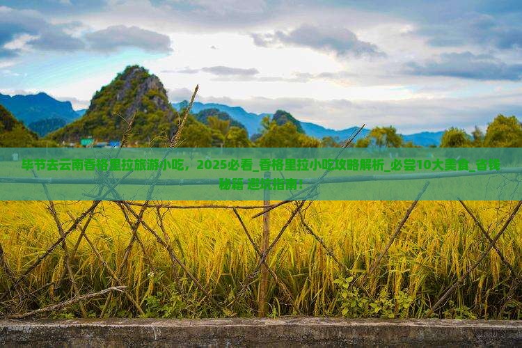 毕节去云南香格里拉旅游小吃