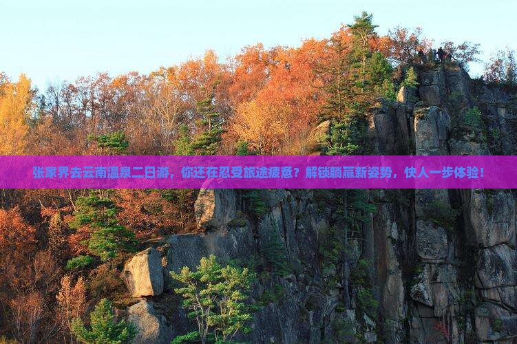 张家界去云南温泉二日游
