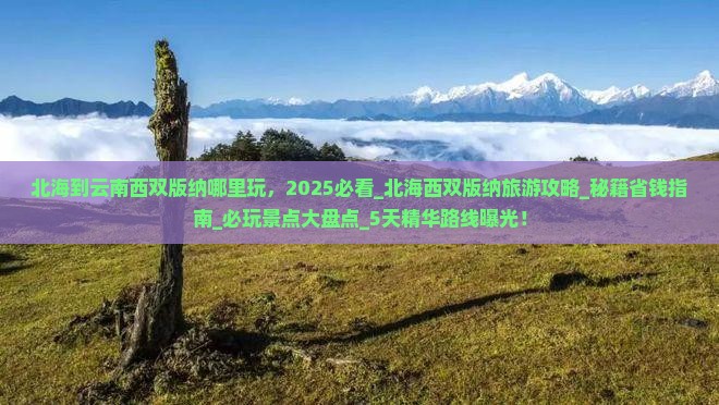 北海到云南西双版纳哪里玩