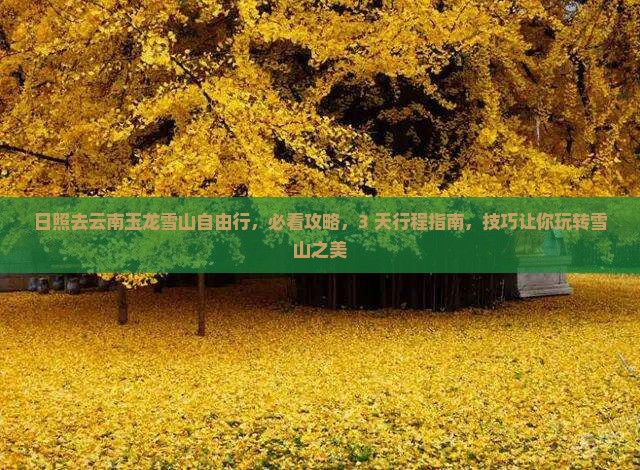 日照去云南玉龙雪山自由行