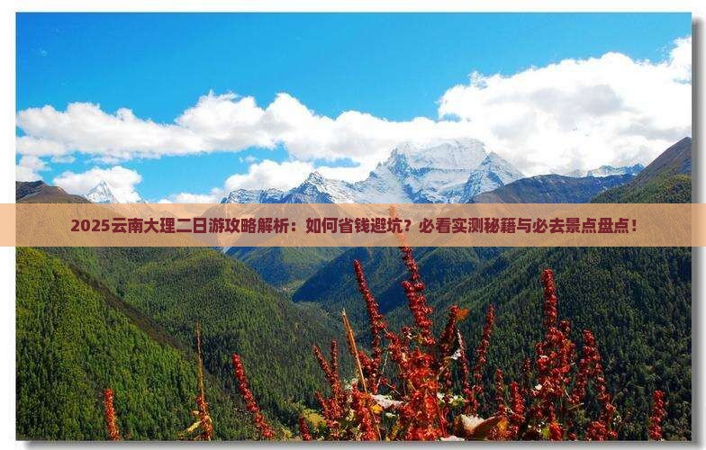 三月到云南大理二日游