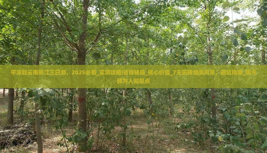 平凉到云南丽江三日游