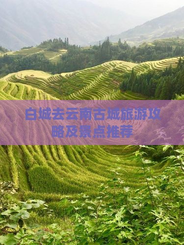 白城去云南古城攻略