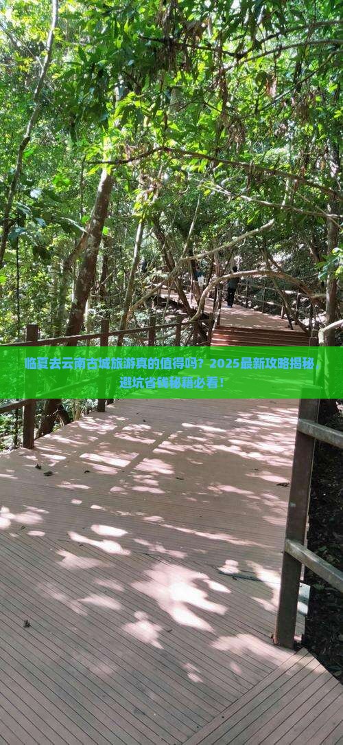 临夏去云南古城旅游