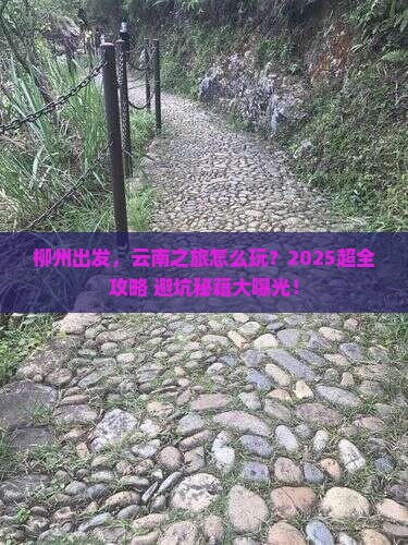 柳州到云南大型旅游团