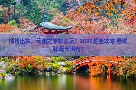 柳州到云南大型旅游团
