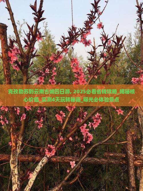 克孜勒苏到云南古城四日游