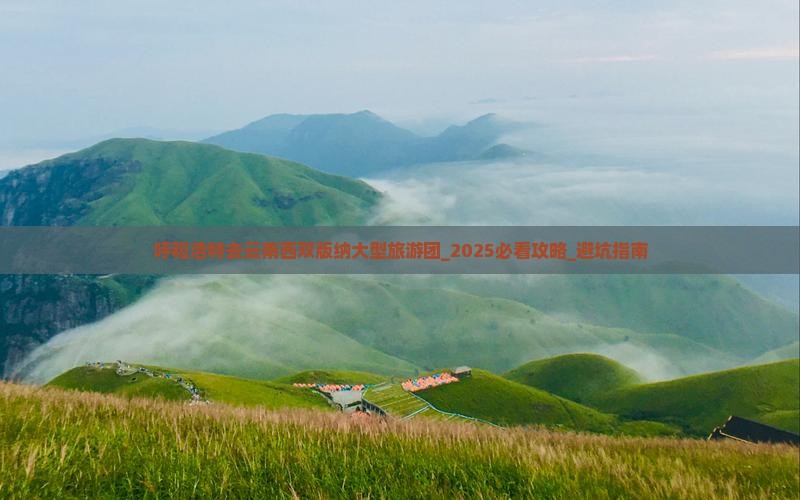 呼和浩特去云南西双版纳大型旅游团