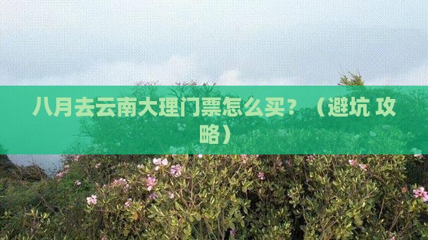 八月到云南大理门票