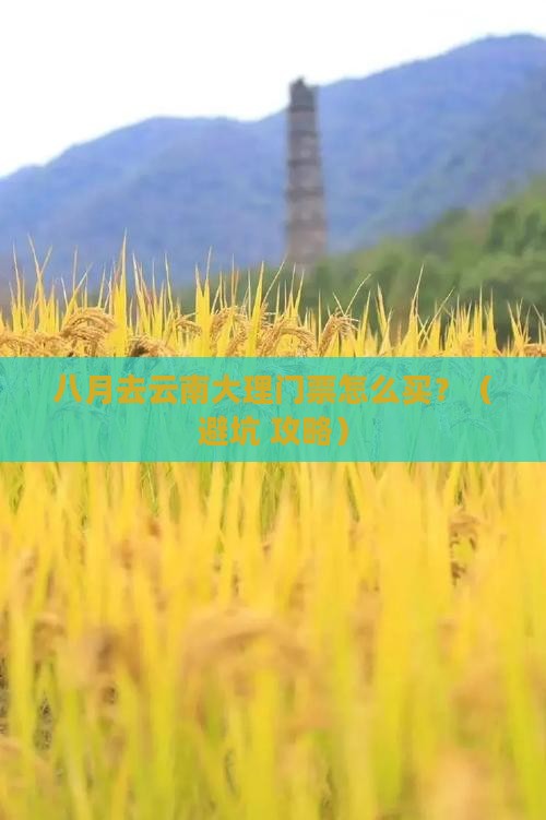 八月到云南大理门票