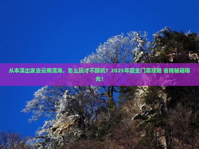 本溪去云南洱海门票
