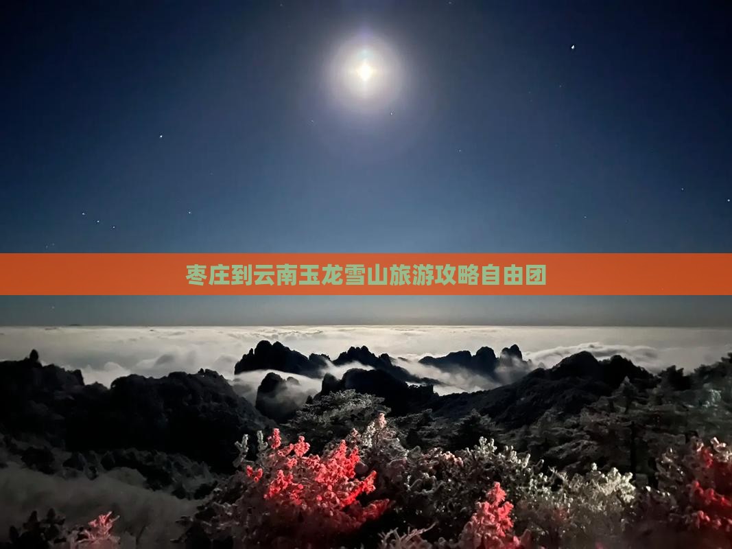 枣庄到云南玉龙雪山自由团