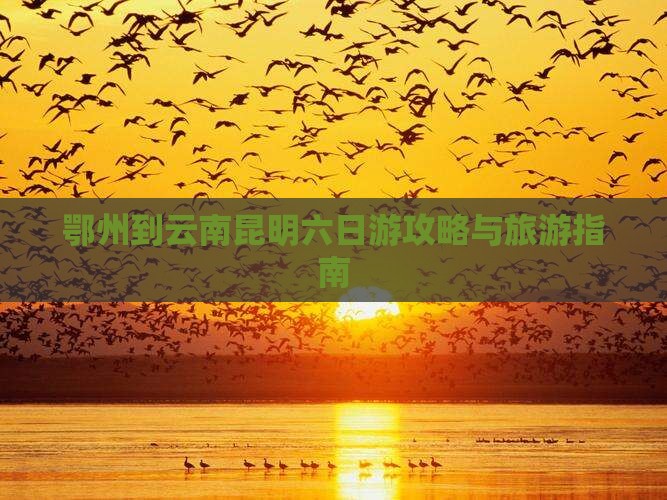 鄂州到云南昆明六日游 鄂州到云南昆明六日游