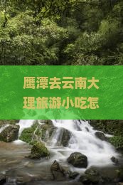 鹰潭去云南大理旅游小吃