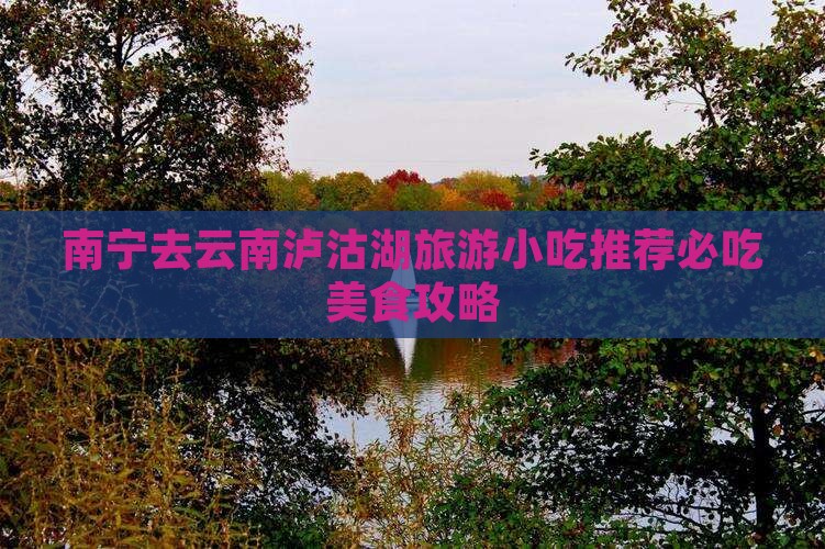 南宁去云南泸沽湖旅游小吃