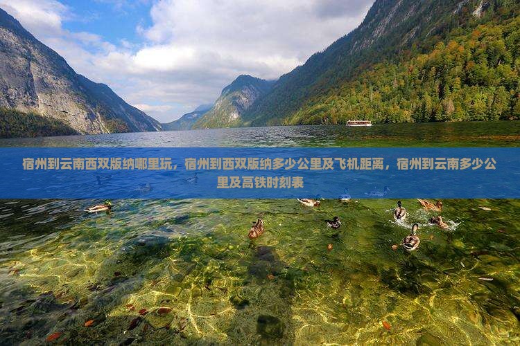 宿州到云南西双版纳哪里玩