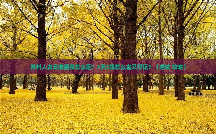 苏州去云南温泉攻略