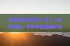 东营去云南洱海一日