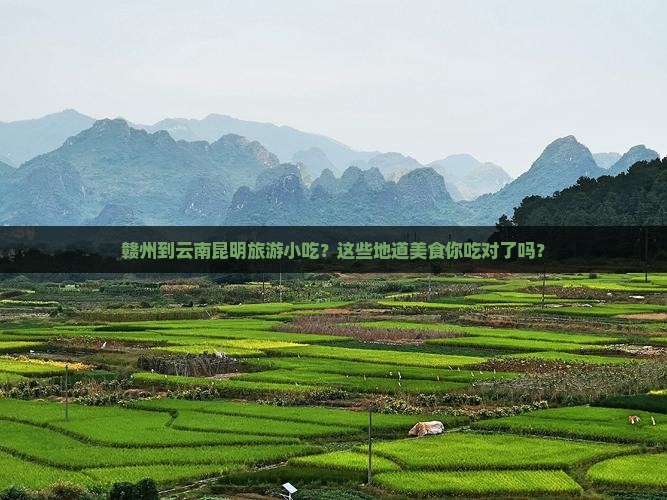 赣州到云南昆明旅游小吃