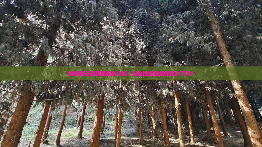 赣州到云南昆明旅游小吃