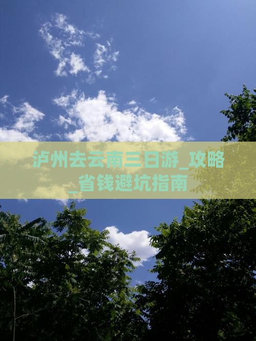 泸州去云南三日游