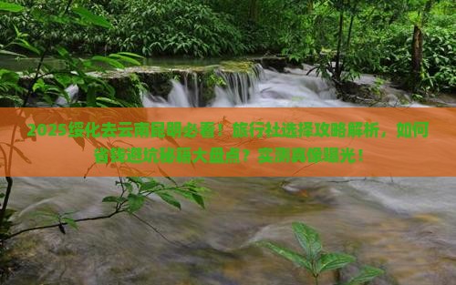绥化去云南昆明旅行社