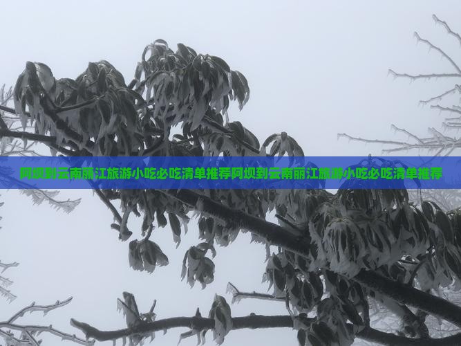 阿坝到云南丽江旅游小吃