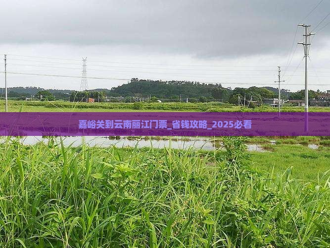 嘉峪关到云南丽江门票